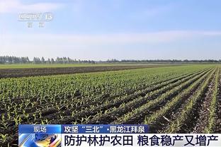 意媒：曼联准备夏窗报价头号目标布雷默，球员解约金5000万欧